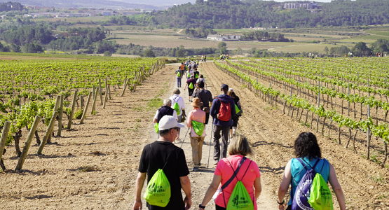 BLOG WEBS DECANTER 2024 4 12222