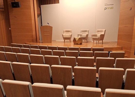 auditori pinnae
