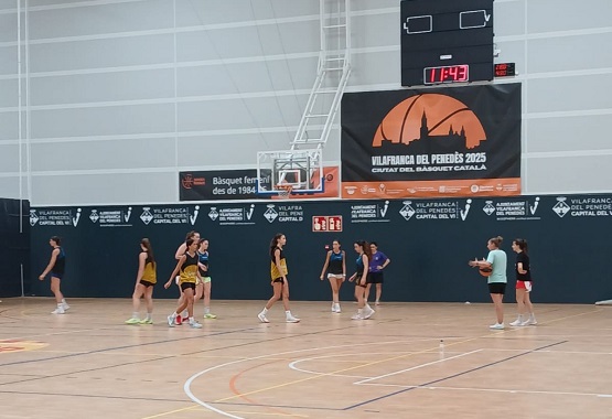 basquet122222222