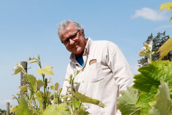 do penedès aranzels
