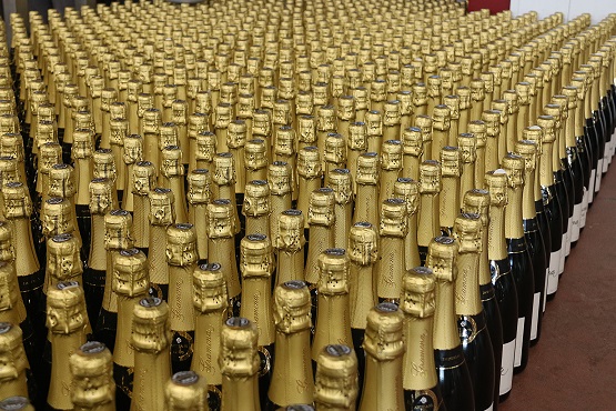 codorniu 1