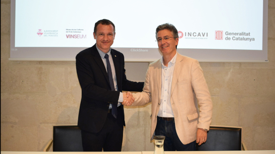 conveni VInseum Incavi