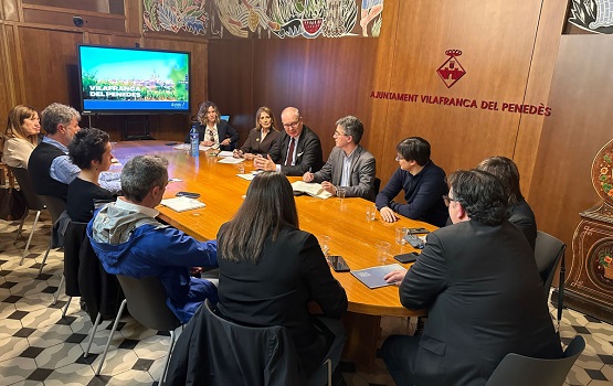 cònsol Alemanya1 dest