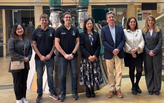 cònsol Japó2 desttt