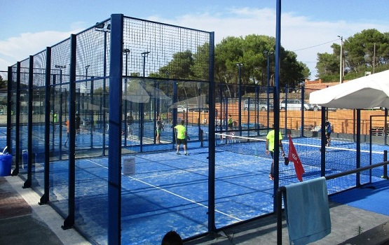 daltmar olerdola dest