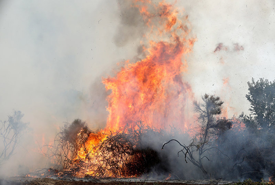 incendiSansa