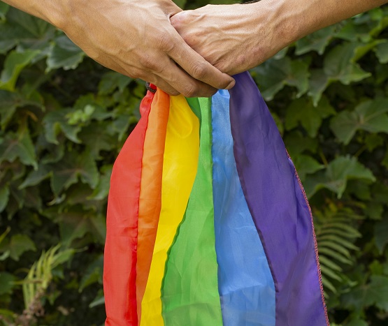 lgtbi 2