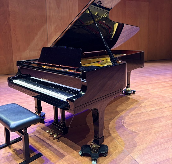 piano pinnae1