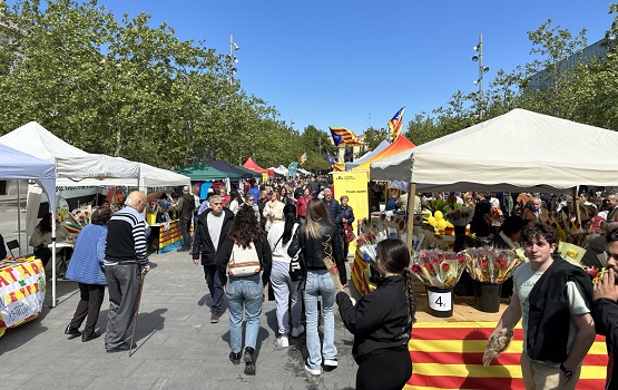 st jordi 1 vila