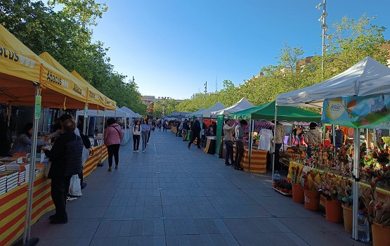 stjordi 1