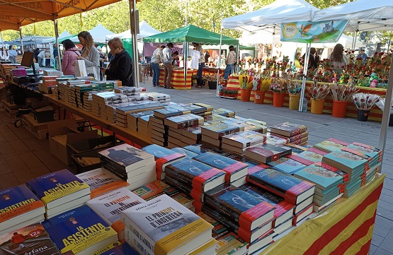 stjordi 2