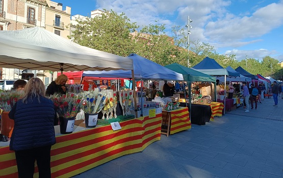stjordi 3