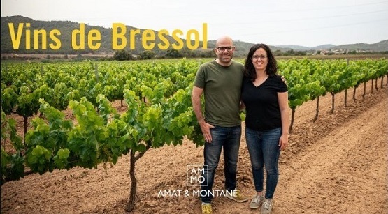 vins de bressol2