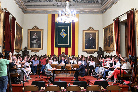 votacio ple FMP